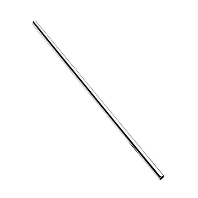 Reusable Stainless Steel Straw